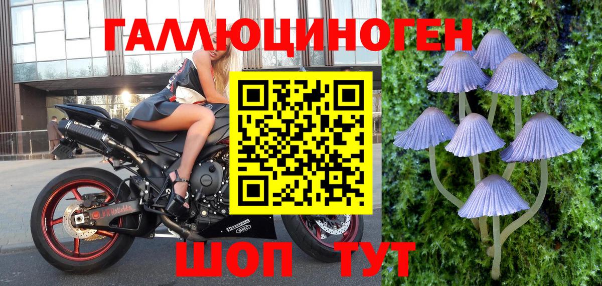 Сатка  Галлюциногенные грибы Psilocybe  купить наркотик  Вход с VPN 