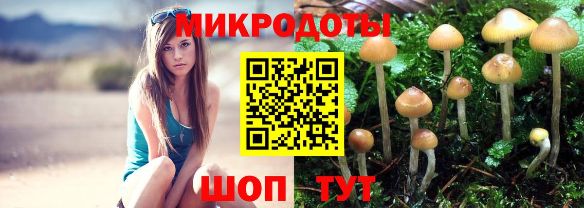 Галлюциногенные грибы Psilocybe Сатка